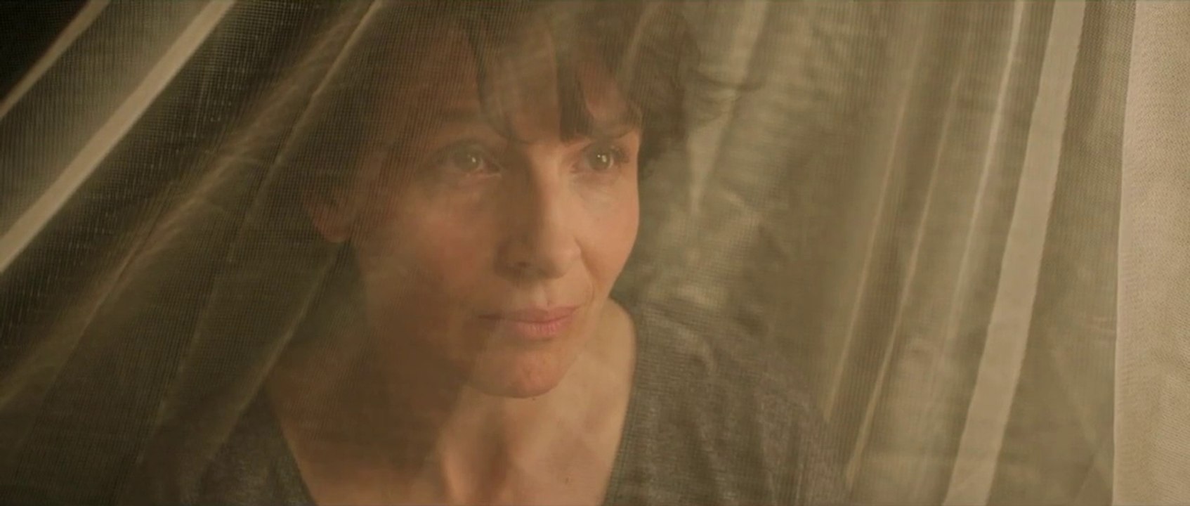 L'Épreuve - Extrait 4 [VOST|HD] (Nikolaj Coster-Waldau, Juliette Binoche)