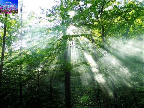 EAI TO BHALO LEGECHILO DEBABRATA BISWAS GEORGE DA