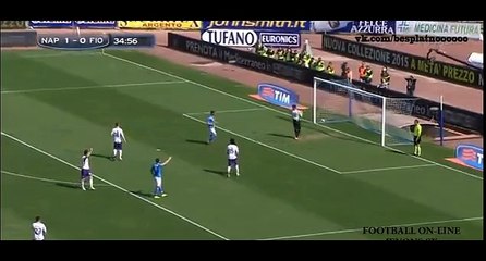 Gonzalo Iguaìn ghost goal - Nápoles 	 3-0  Fiorentina - 12-04-2015