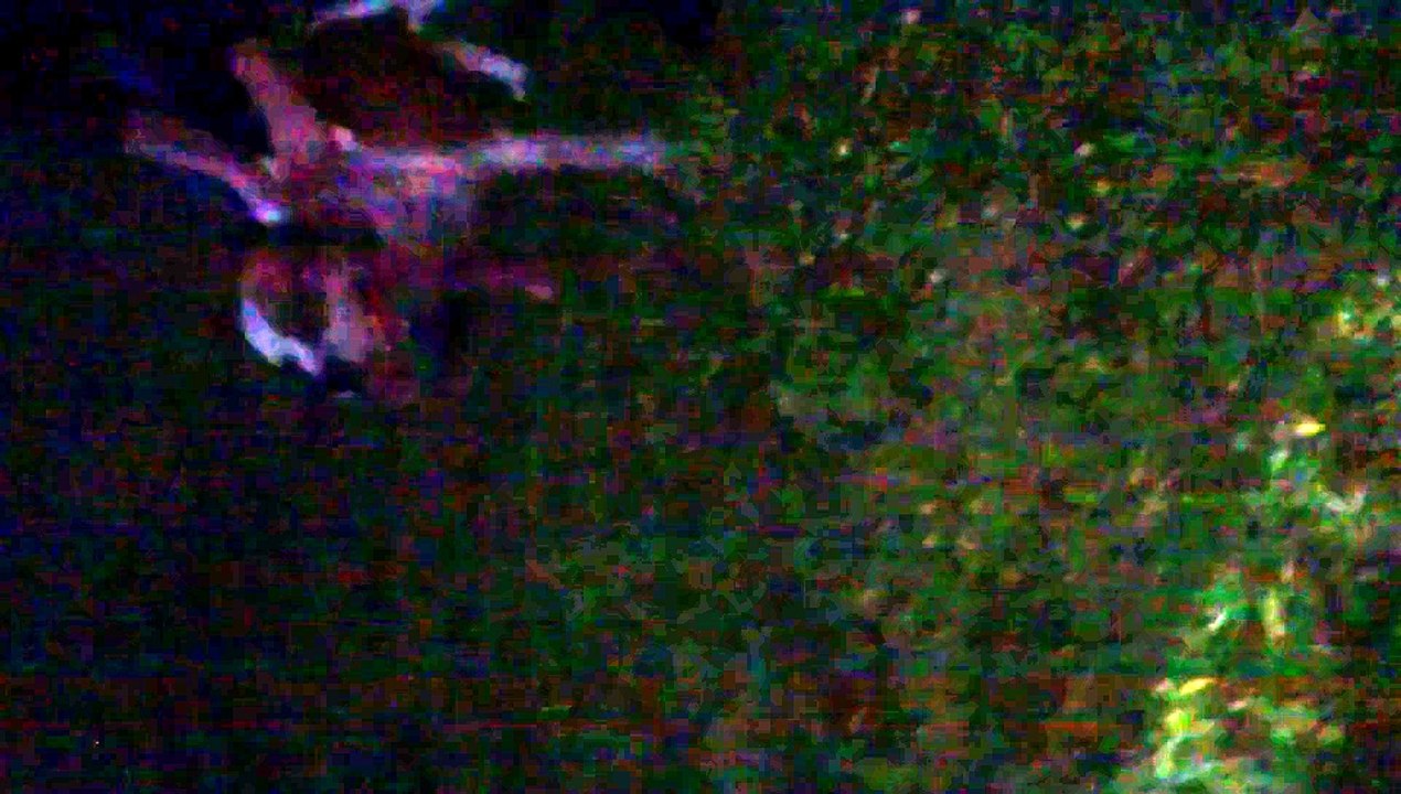 Demon vs Devill  ( Demoni Fitues )