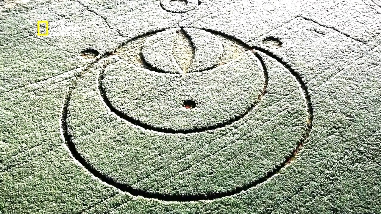 Paranormal - Crop Circles