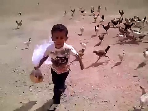 Gallinas Locas persiguen a niño llorando, Papas Trolls solo lo ven corriendo