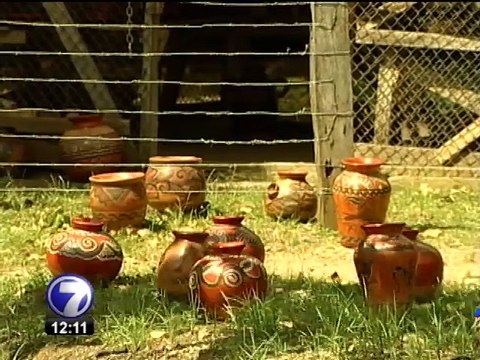 Niños y jóvenes llenarán el Teatro Nacional con espectáculo de música clásica