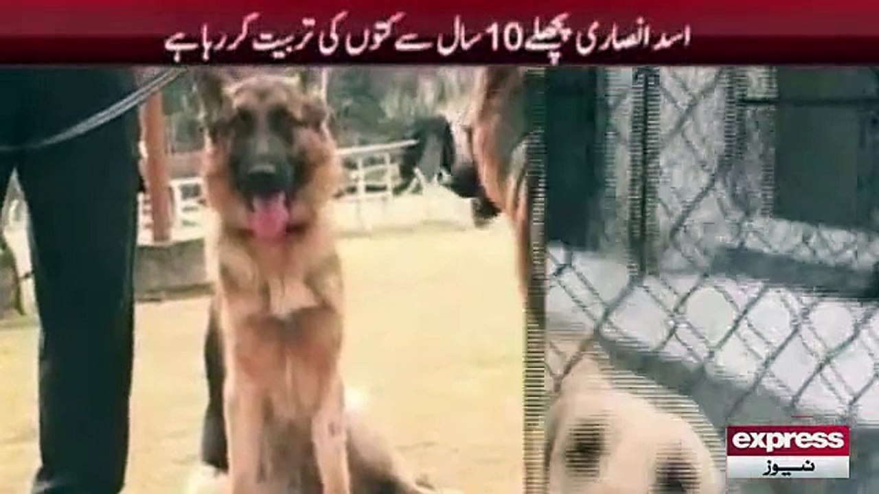 news clip