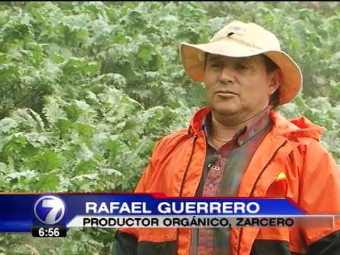 Una planta casi desconocida en el país podría solucionar muchos problemas de salud