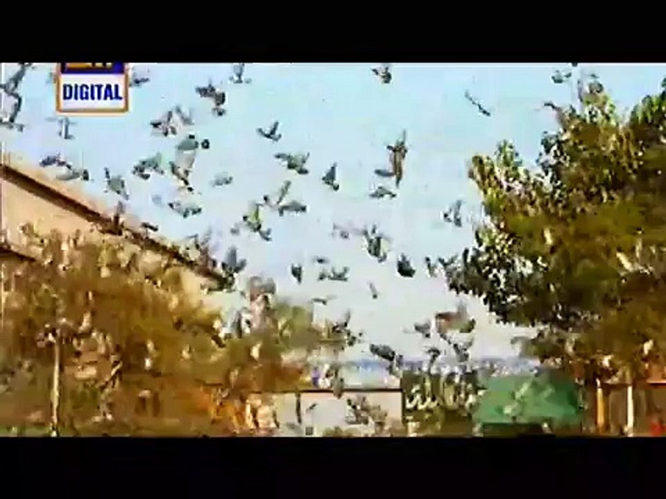 Dusri Biwi Episode 20 Full on Ary Digital - 13 April