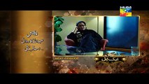 Aik Pal Episode 22 Promo 15th March 2015 Full Hum Tv