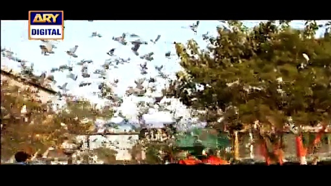 Dusri Bivi Episode 20 - By Ary Digital Single Link