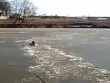 Guy jumped into freezing water to rescue dog - hats off