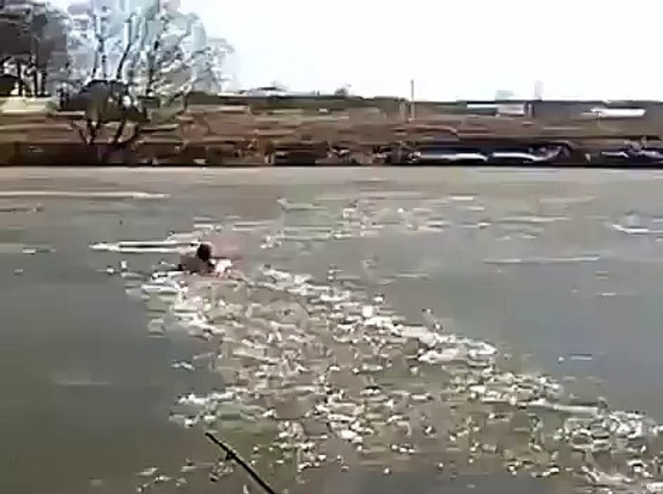 Guy jumped into freezing water to rescue dog - hats off