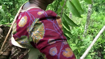 El secreto de los mejores perfumes del mundo