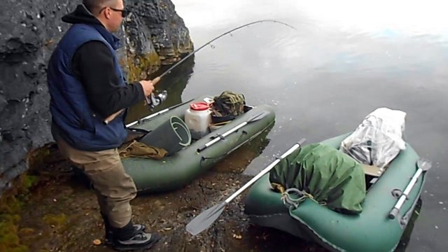 Вот такие ловяться у нас