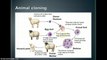 Biotechnology - Cloning & Genetic Engineering