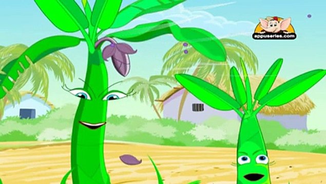 Learn about Plants in Hindi - Seed Dispersal