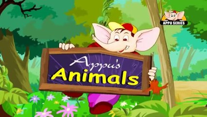 Learn about Animals in Hindi - Introduction