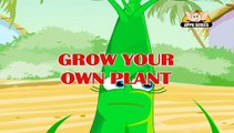 Learn about Plants in Hindi - Grow Your Own Plant