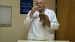Dog Kisses! Preventing Excessive Licking from Your Dog with Dr Rolan Tripp