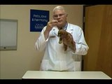 Dog Kisses! Preventing Excessive Licking from Your Dog with Dr Rolan Tripp