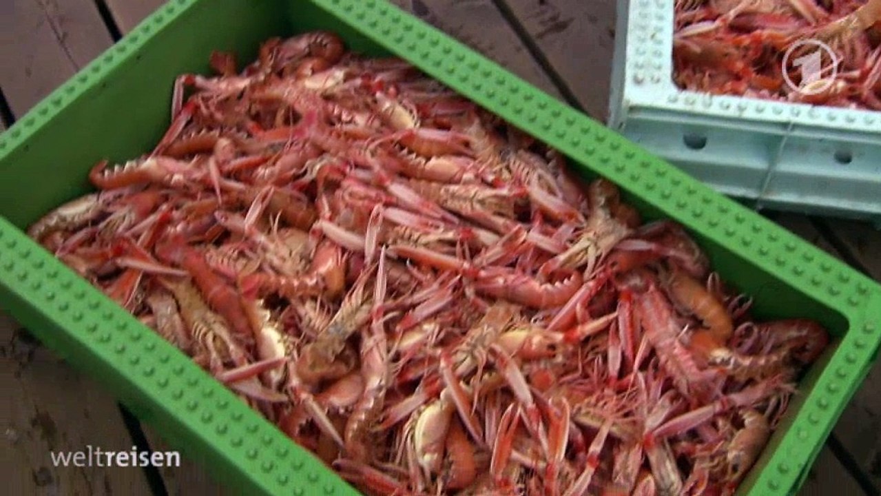 Weltreisen - Schwedens Westkueste