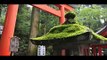 神社ヒーリング 箱根神社 縁結び気功入りヒーリング音楽動画