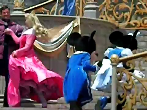 Dreams Come True Disney World Show