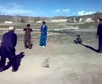 Pashto funny video clip, funny pathan playing cricket, pashto tang takor tapay