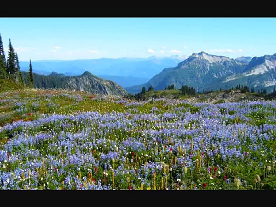 David Lanz - Variations on a Theme From Pachelbel's Canon in D Major