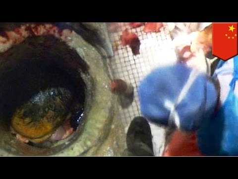 Joven madre en China intento deshacerse de su bebe recién nacido lanzándolo en el inodoro