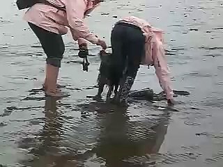 Dog attacks little girl