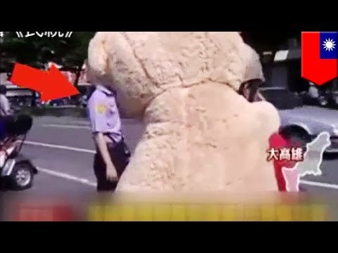 ¿Sin espacio para cargar cosas en su motocicleta? Conductores taiwaneses demuestran su creatividad