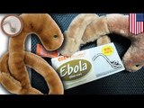 Juguete de peluche “Ébola” es un éxito en ventas entre los niños y sus padres