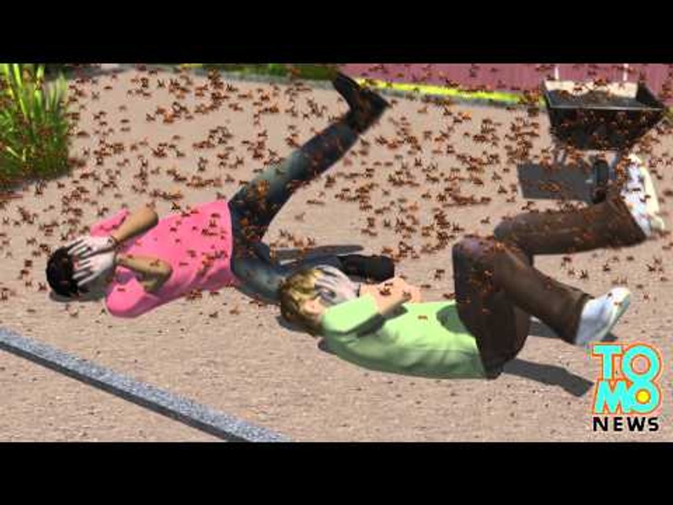 Jardinero muere luego de ser atacado por un enjambre de aproximadamente 300.000 abejas