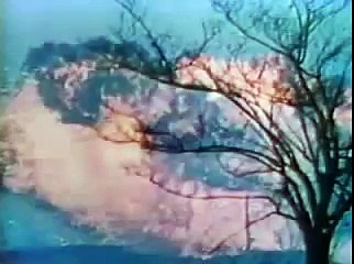 1968 Nixon Campaign Commercial - Vietnam War