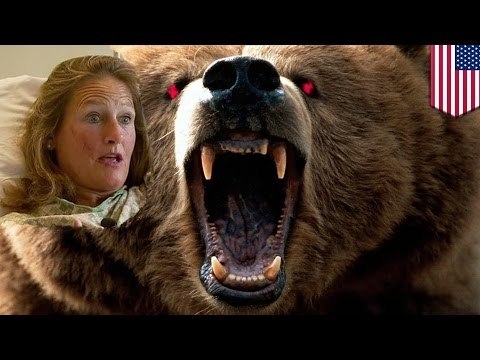 Caminante sobrevive ataque de un oso, camina por una milla hasta su auto y conduce en busca de ayuda