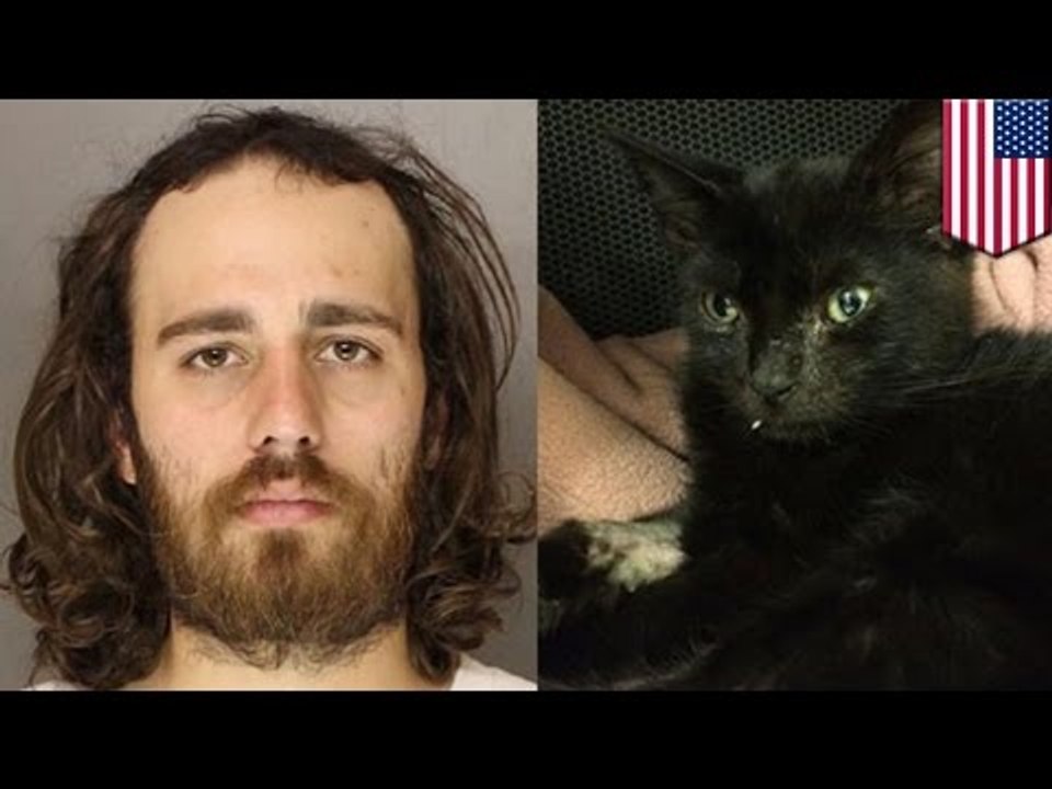 Crueldad animal: Policía arresta a hombre que le inyecto heroína a un gato y lo golpeo brutalmente