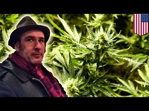 Hombre en libertad condicional desaparece cuando iba de visita a una granja de marihuana