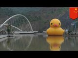 Pato de goma gigante del artista Florentijn Hofman desaparece luego de tormenta en el sur de China