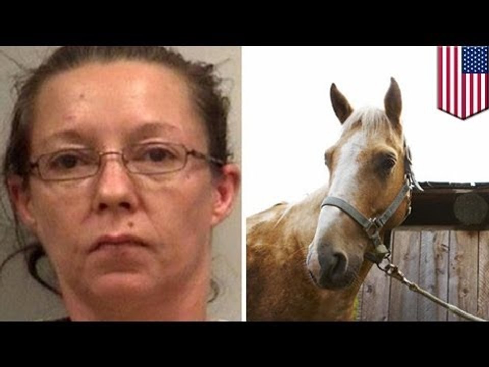 Mujer ebria en Alabama roba un caballo y cabalga hasta una tienda cercana para robar cerveza