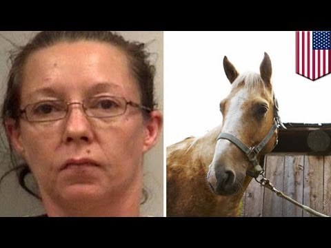 Mujer ebria en Alabama roba un caballo y cabalga hasta una tienda cercana para robar cerveza