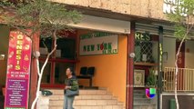 Los negocios de El Chapo Guzmán en Guadalajara -- Noticiero Univisión