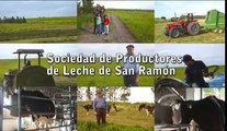 Sociedad de productores de leche de San Ramón.