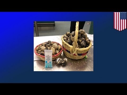 Guatemalteco capturado en aeropuerto de Nueva York con cocaína camuflada entre unas galletas