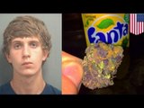 Joven publica tweets sobre venta y consumo de drogas, arrestado por posesión de xanax y marihuana