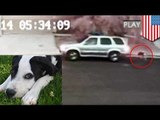 Hombre sin corazón abandona a indefenso cachorro y es captado por cámara de seguridad