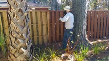 Wood Fence Staining and Sealing Savannah Georgia