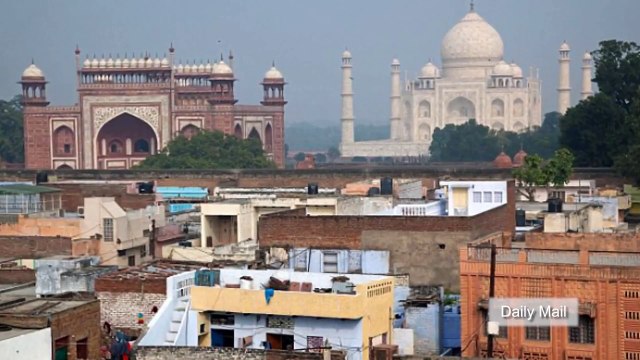 ببغاء يكشف جريمة قتل