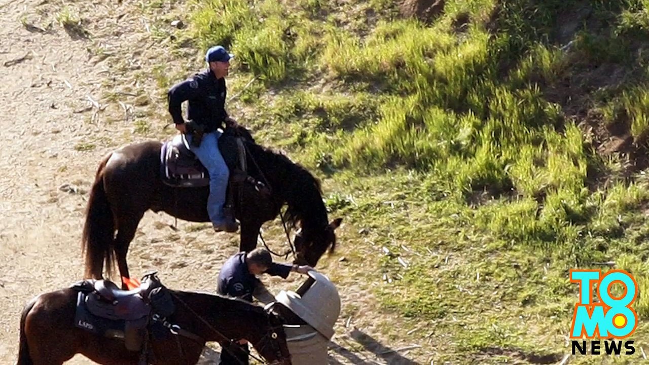 اعتقال رجل في سان انتونيو على علاقة بلغز الرأس المقطوع في هوليوود