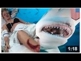 Un requin-taureau a attaqué une nageuse et la frappé au visage avec sa nageoire caudale