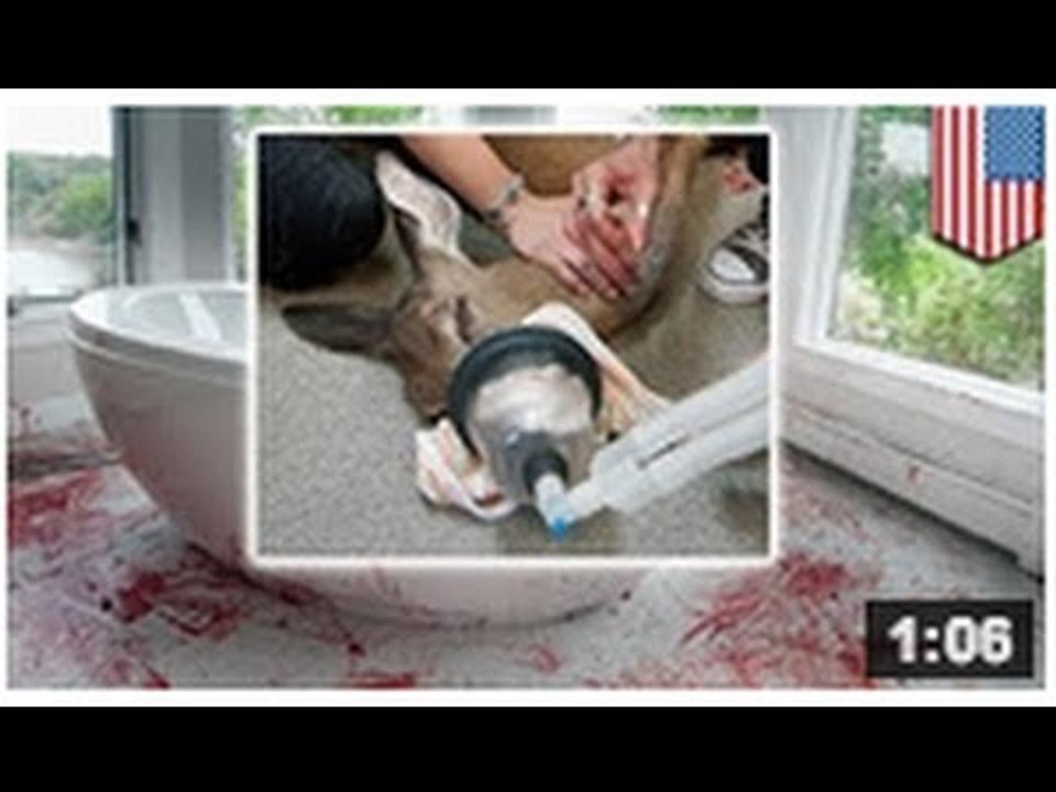 Bambi se prend la fenêtre d'une salle de bains et laisse l'endroit ensanglanté