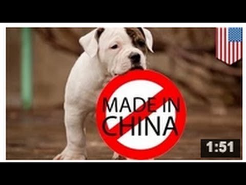 Les animaleries aux Etats-Unis boycott les produits fabriqués en Chine